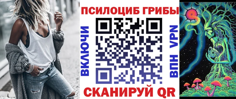 наркошоп  Вышний Волочёк  Псилоцибиновые грибы мицелий 